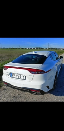 Kia Stinger cena 256000 przebieg: 15500, rok produkcji 2022 z Miłomłyn małe 172